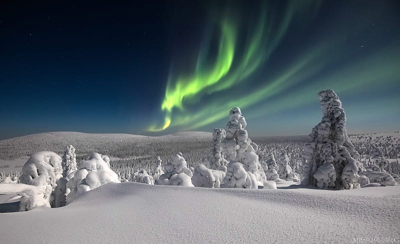 HD-wallpaper-aurora-borealis-over-finnish-lapland-aurora-borealis-trees-snow-finland
