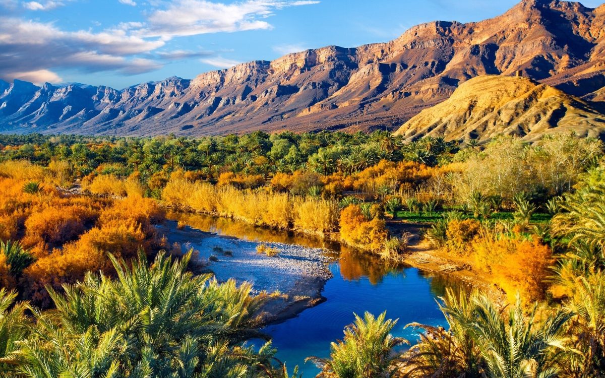 safari maroc